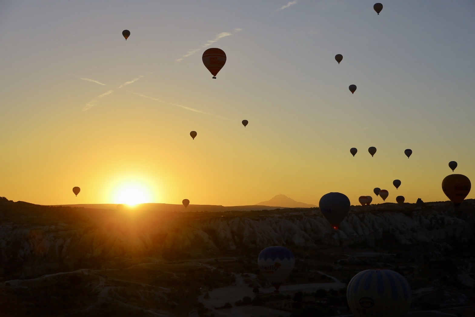 太陽の光に照らされた空に、いくつもの気球が浮かぶ景色